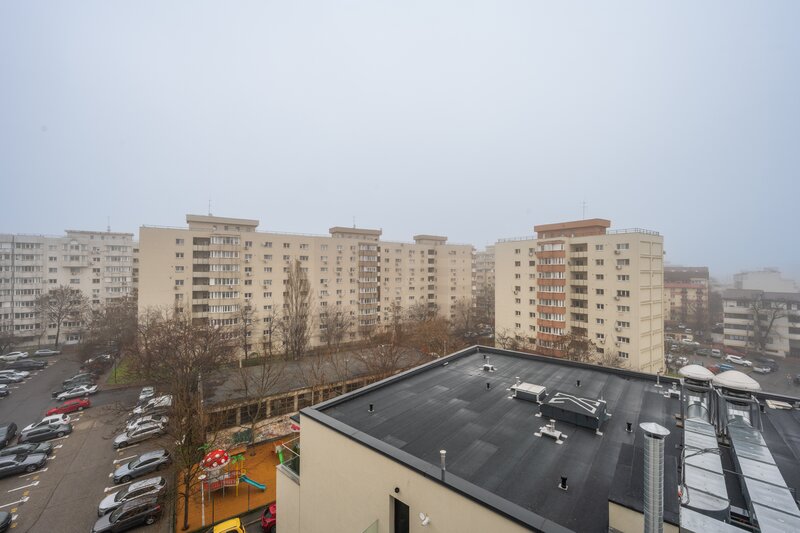 Mihai Bravu, Vitan, Dristor